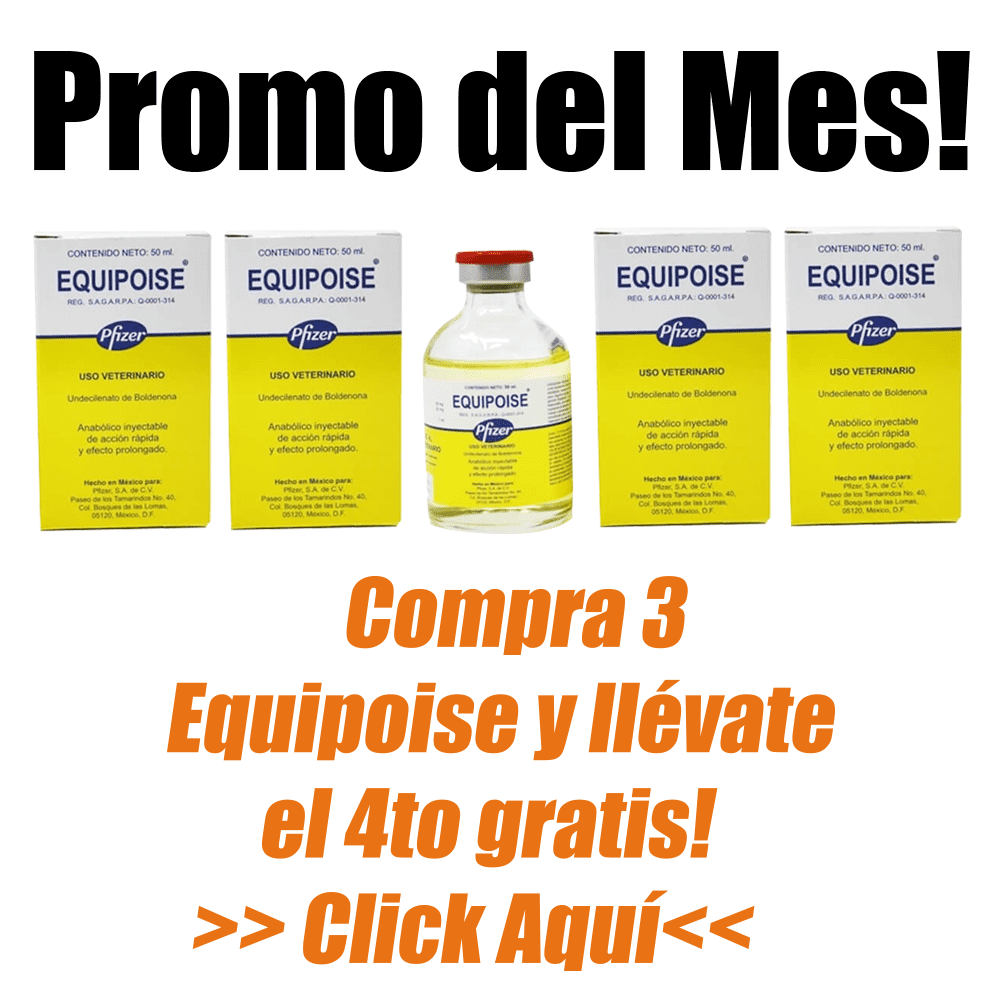 11cangurito.png
