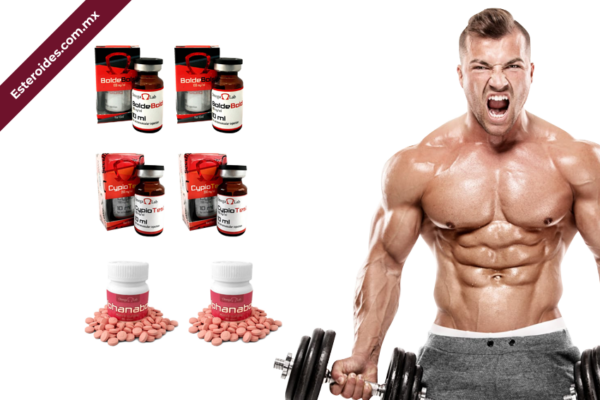Ciclo Volumen Novato 2 Omega Labs