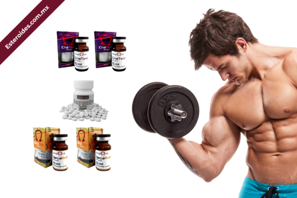 Ciclo Novato Omega Labs