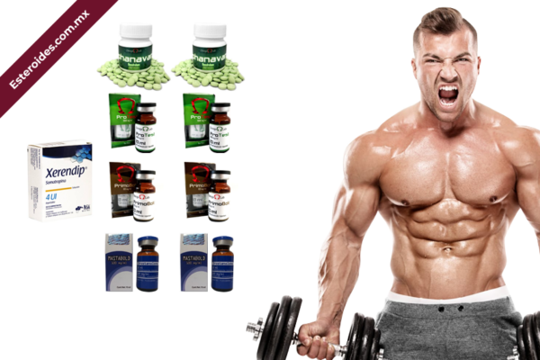 Ciclo Rayado Elite – OmegaLabs